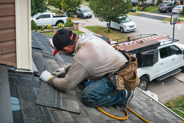 Professional Storm Damage Roof Repair technician working in Thomasboro, IL